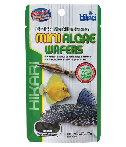 Hikari Mini Algae Wafers - Littlehampton Exotics 
