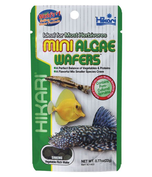 Hikari Mini Algae Wafers - Littlehampton Exotics 