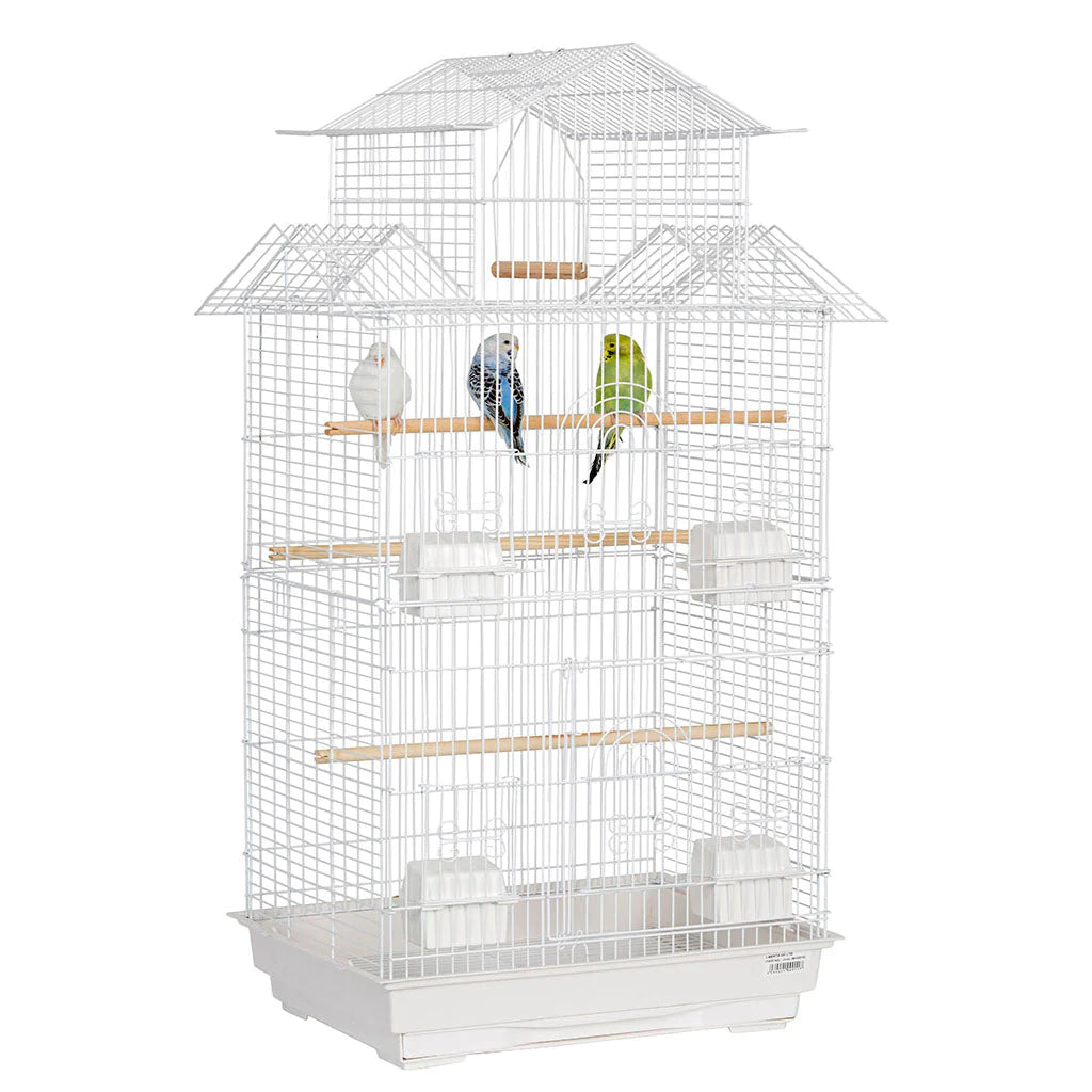 Jintu Bird Cage - Littlehampton Exotics 