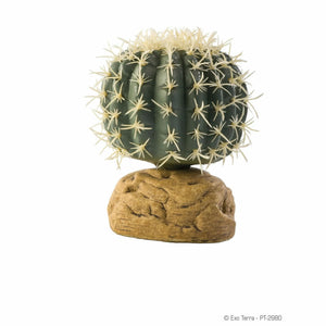 Exo Terra Barrel Cactus Small - Littlehampton Exotics 