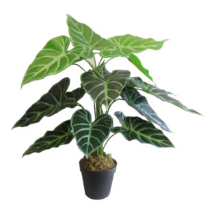 Artificial Alocasia Amazonica Polly Taro Plant 60cm (2ft) - Littlehampton Exotics 