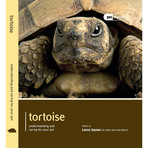 Pet Expert - Tortoise Book - Littlehampton Exotics 
