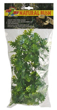 Load image into Gallery viewer, Zoo Med Amazonian Phyllo Plant - Littlehampton Exotics 
