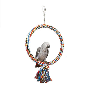Coloured Ring Bird Toy - Littlehampton Exotics 