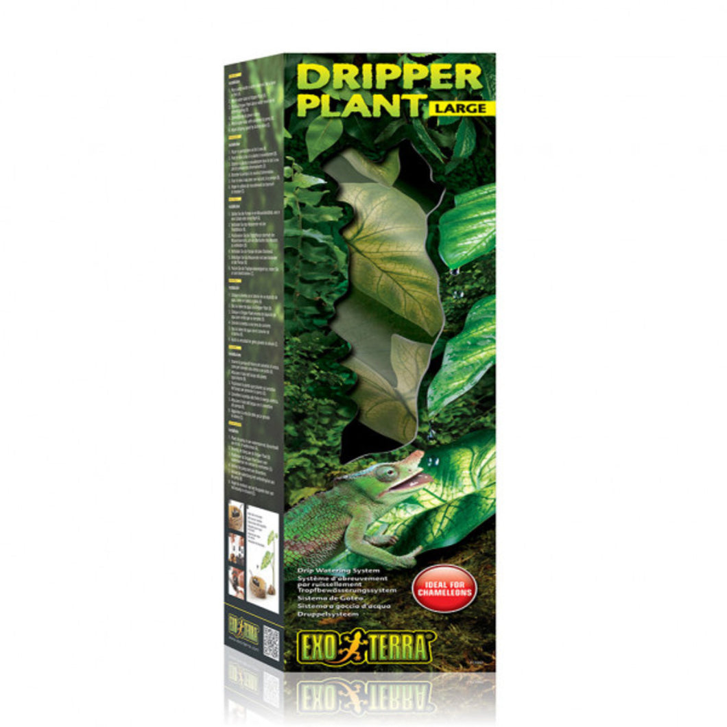 Exo Terra Dripper Plant (Large) - Littlehampton Exotics 