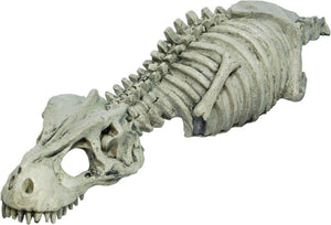 RepStyle Dinosaur Skeleton Hide - Littlehampton Exotics 