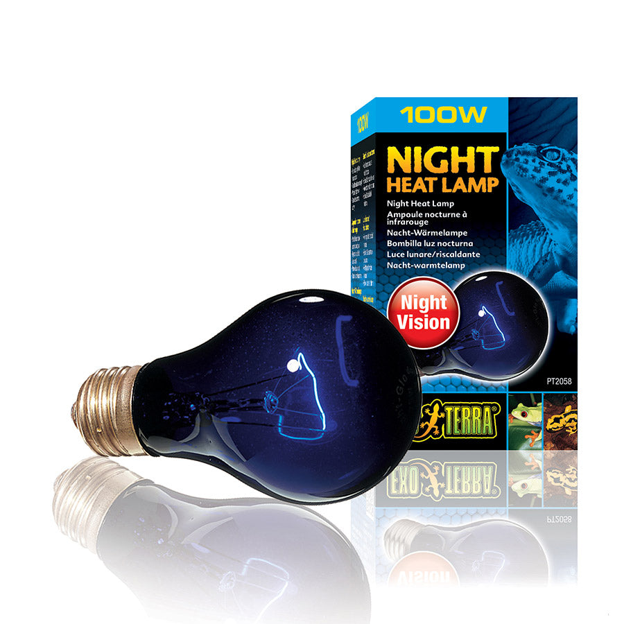 Exo Terra Night Heat Lamp 100w - Littlehampton Exotics 