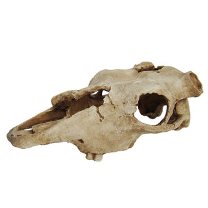 Lucky Reptile Deco Skull Cow - Littlehampton Exotics 