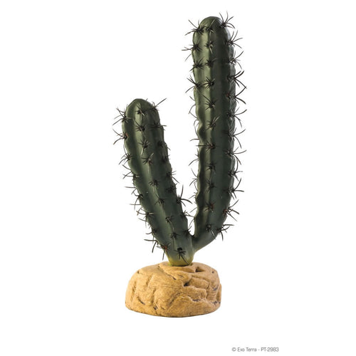 Exo Terra Finger Cactus - Littlehampton Exotics 