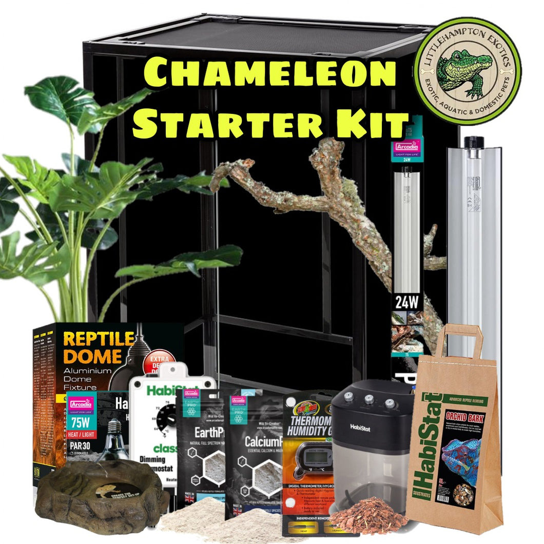 Chameleon Starter Kit - Littlehampton Exotics 