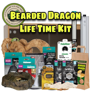 Bearded Dragon Life Time Kit - Littlehampton Exotics 