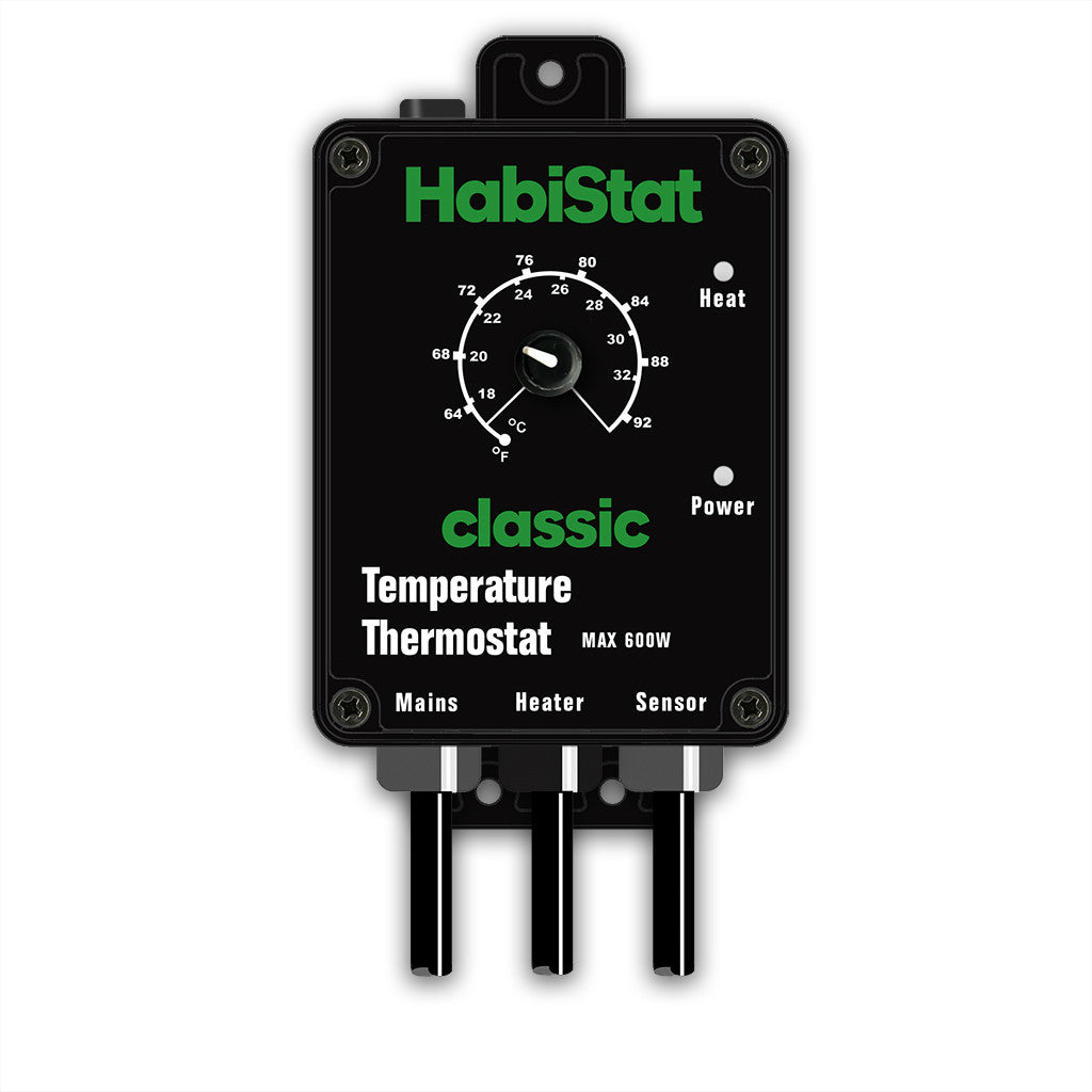 HabiStat 600w Temperature Thermostat (Black) - Littlehampton Exotics 