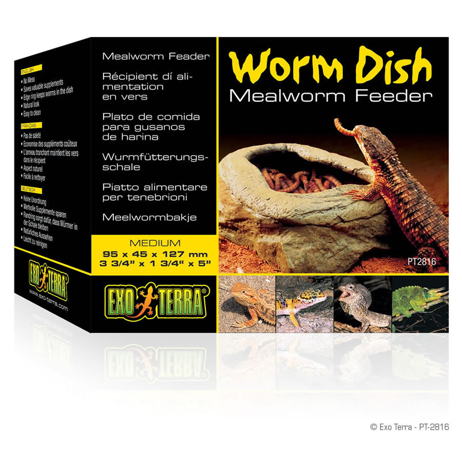 Exo Terra Worm Dish - Littlehampton Exotics 