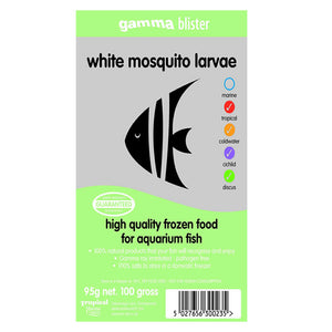 Gamma Blister White Mosquito Larvae 95g - Littlehampton Exotics 