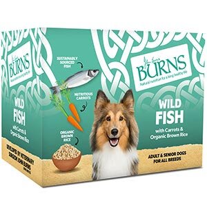 Burns Penlan Tray Adult Dog - Single - Wild Fish 395g - Littlehampton Exotics 