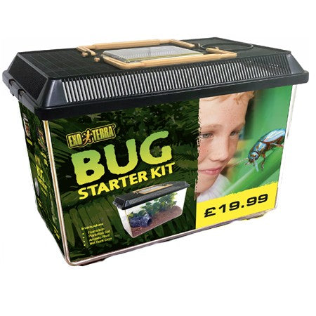 Exo Terra Bug Starter Kit - Littlehampton Exotics 