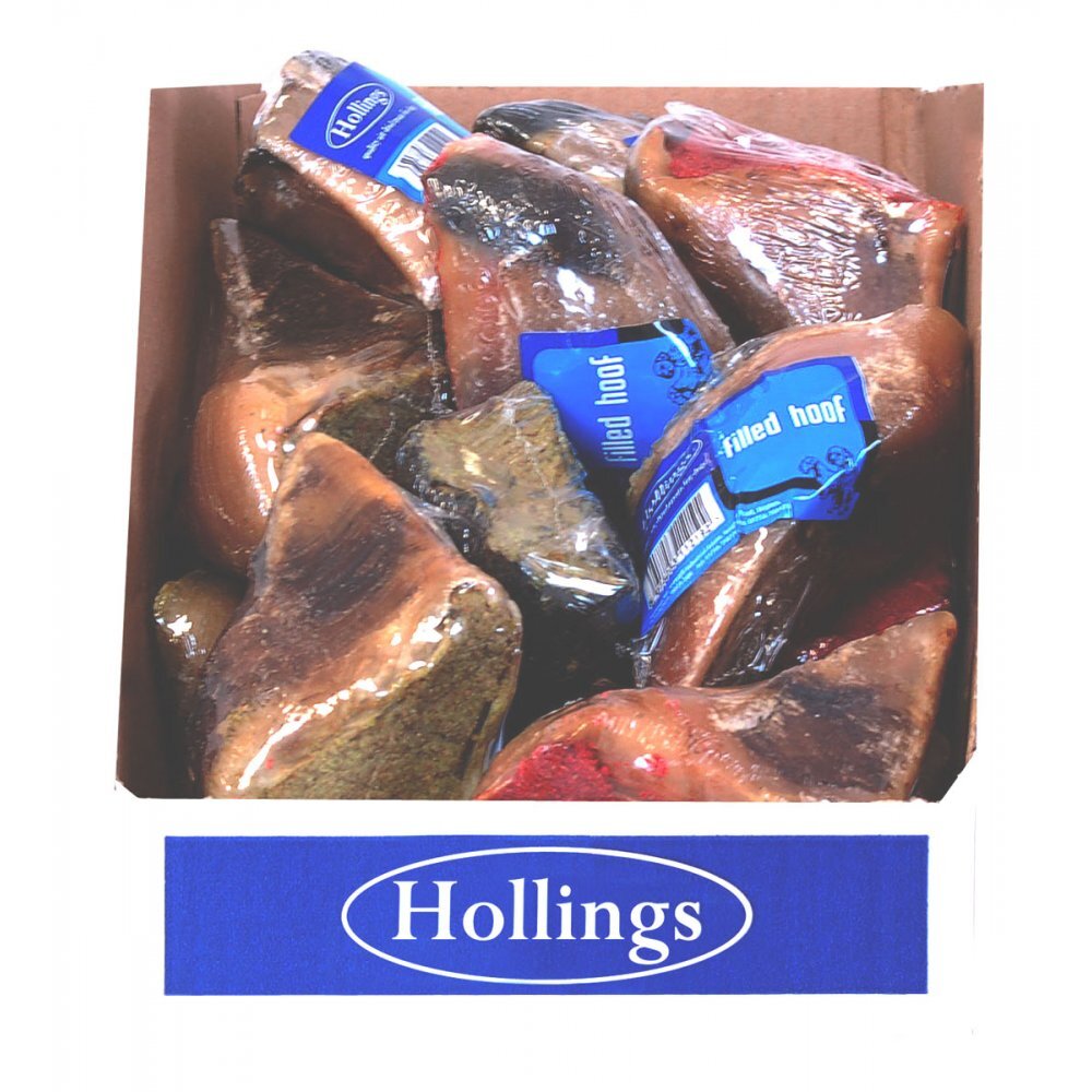 Hollings Filled Hoof - Single 50g - Littlehampton Exotics 