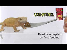 Load and play video in Gallery viewer, Hikari Reptile Crested Gecko Gel
