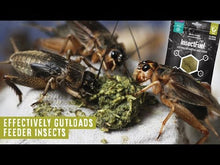 Load and play video in Gallery viewer, Arcadia Earth Pro Insect Fuel
