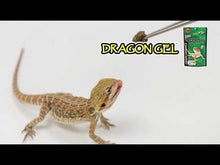 Load and play video in Gallery viewer, Hikari Reptile Dragon Gel
