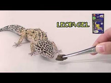 Load and play video in Gallery viewer, Hikari Reptile Leopa Gel
