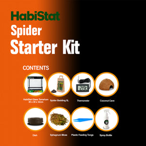 HabiStat Spider Starter Kit - Littlehampton Exotics 