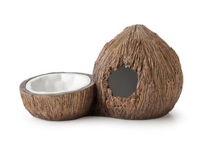 Exo Terra Coconut Hide  & Water Dish - Littlehampton Exotics 